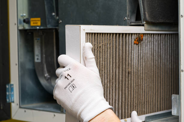 Best Air Duct Sanitizing Services  in New Lisbon, WI